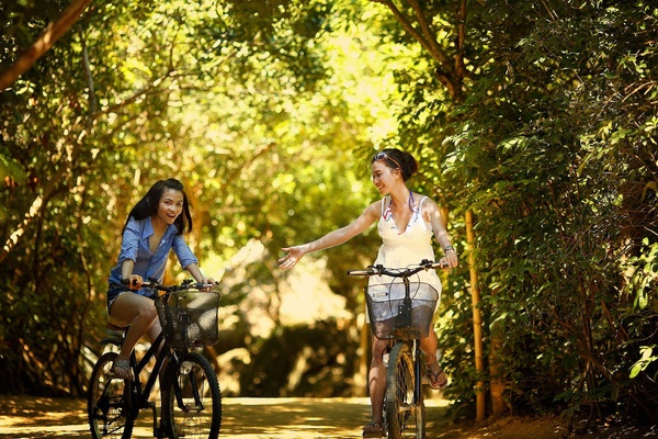 Location gratuite des vélos de l'hôtel Art Hôtel Commercianti Bologne Location gratuite des vélos de l'hôtel Art Hôtel Commercianti Bologne